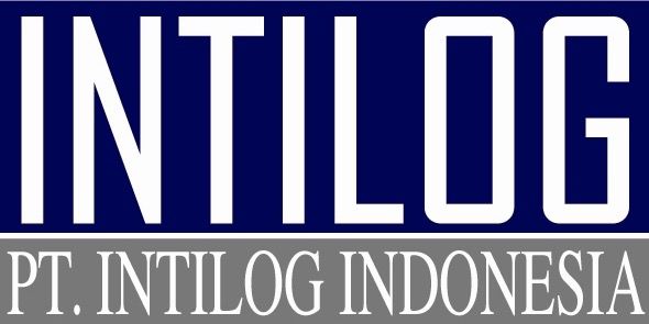 Intilog